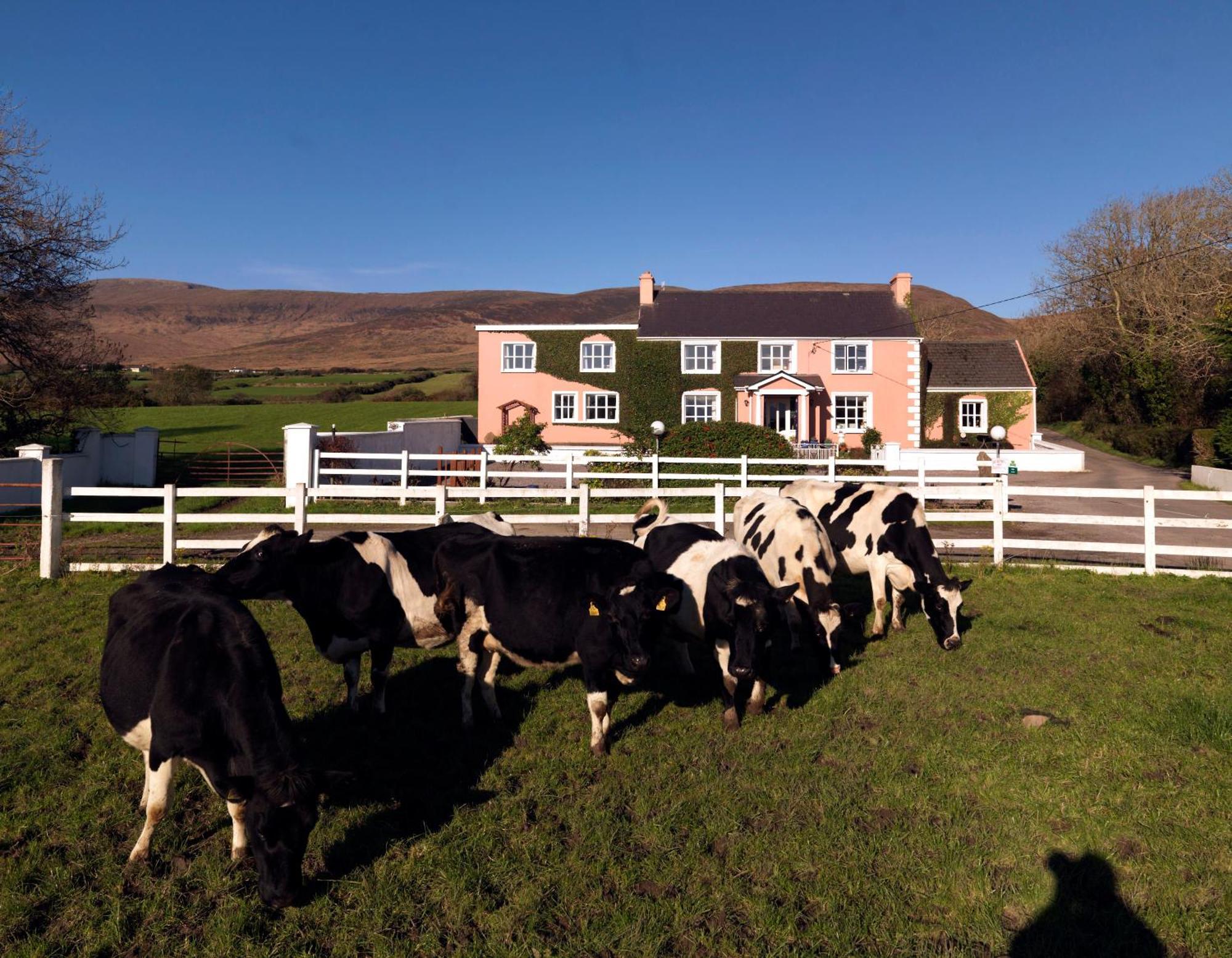 Murphys Farmhouse B&B Castlemaine Ngoại thất bức ảnh
